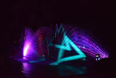 DSC_7040 (Large).JPG